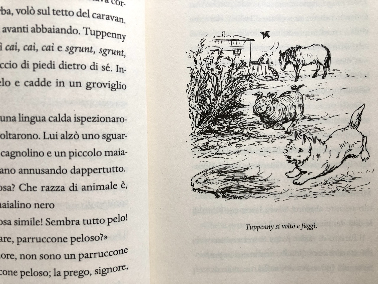 Beatrix Potter, La carovana fatata, Mondadori