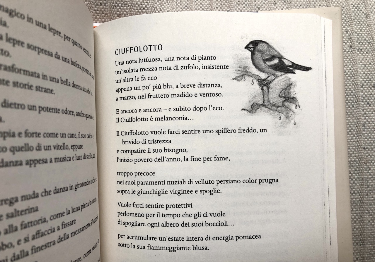 Ted Hughes, Il borsellino della sirena e altre poesie, Mondadori